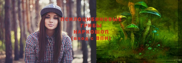 амф Алексеевка